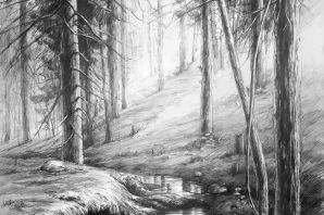 Простые рисунки природы