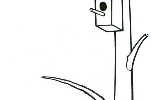 Скворечник раскраска