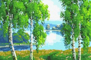 Березка иллюстрация