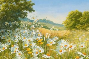 Июльский пейзаж