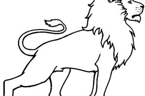 Рисунок льва для срисовки