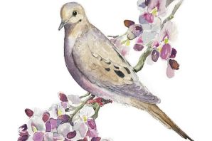 Белая птица рисунок