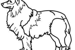 Раскраска алабай