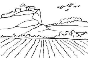 Раскраска поле