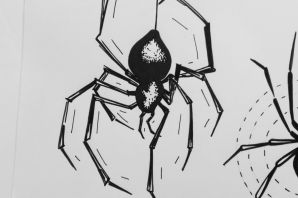 Легкие рисунки паука