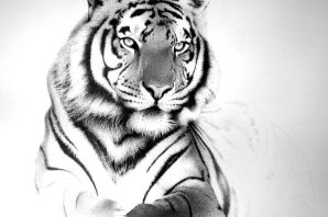 Тигр черно белый рисунок