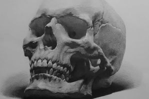 Череп в профиль рисунок