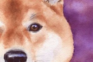 Рисунок шиба ину