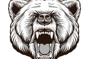 Медведь векторный рисунок