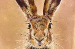 Заяц русак рисунок