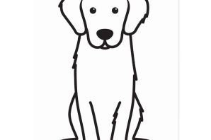 Рисунки сабак