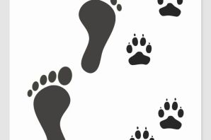 След трафарет