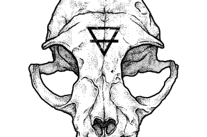 Череп кошки рисунок