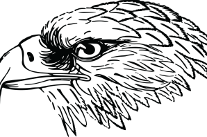 Орел для срисовки