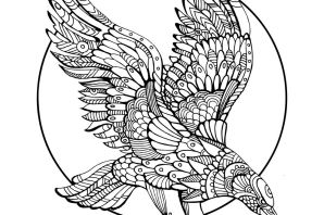 Раскраска беркут