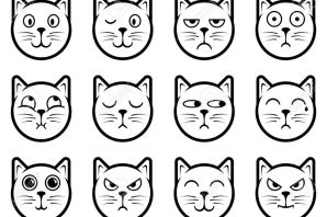 Раскраска круглый котик