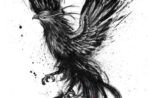 Феникс эскиз в цвете