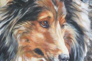 Колли раскраска