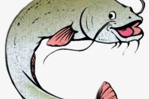 Рыба сом рисунок