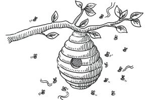 Улей нарисованный