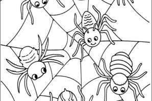 Паук раскраска