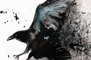 Черный ворон рисунок