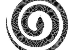 Рисунок голубая змейка