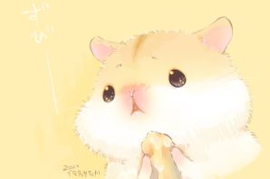 Смешной хомяк рисунок