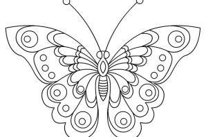 Раскраска бабочка