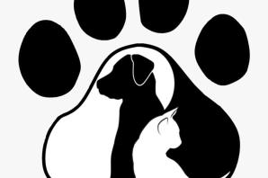 Собачья лапка рисунок