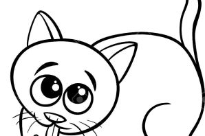 Раскраска котик бубу