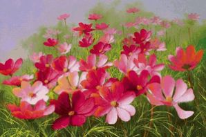 Поле цветов рисунок