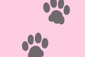 Лапка котика раскраска