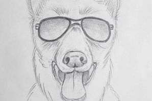 Легкие рисунки собак