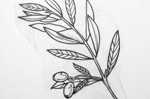 Лавр рисунок