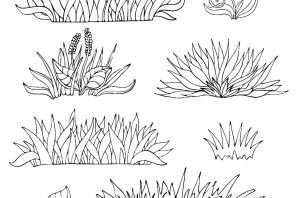 Трава рисунок карандашом