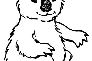 Коала раскраска