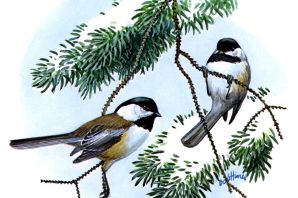 Рисунок синица на ветке