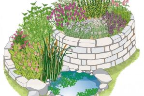 Растения клумбы рисунок