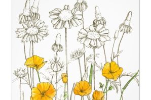Полевые цветы эскиз