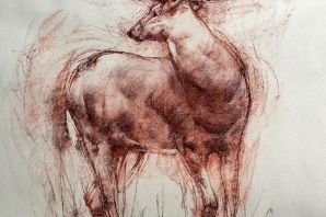 Рисунки сангиной