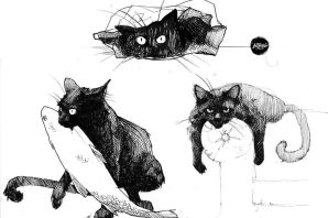 Наброски кошек