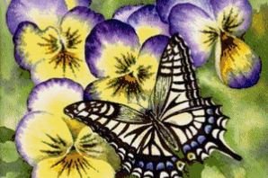 Анютины глазки рисунок