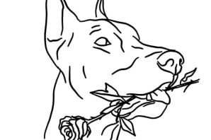 Эскиз собаки