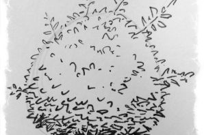 Куст рисунок карандашом