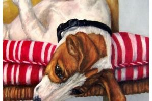 Джек рассел терьер рисунок