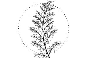 Листик рисунок карандашом