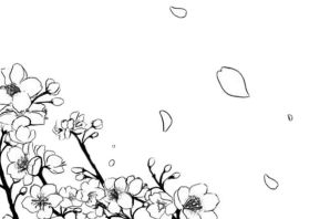 Раскраска сакура дерево