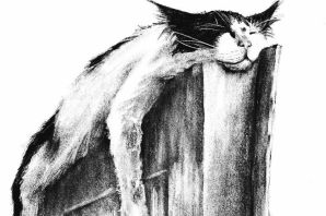 Рисунок кота углем