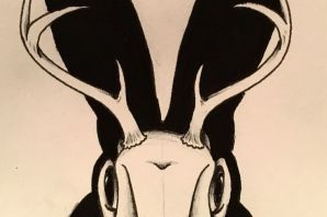 Череп кролика рисунок